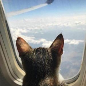 Meet your Posher, Adriana